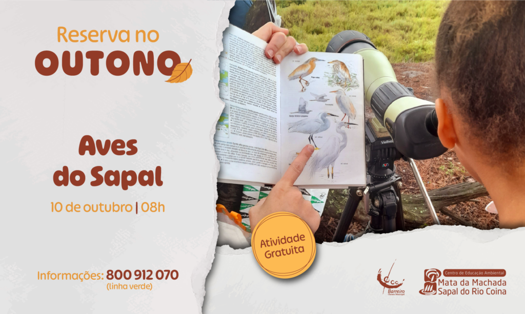 Cartaz da iniciativa Aves do Sapal - 11 outubro