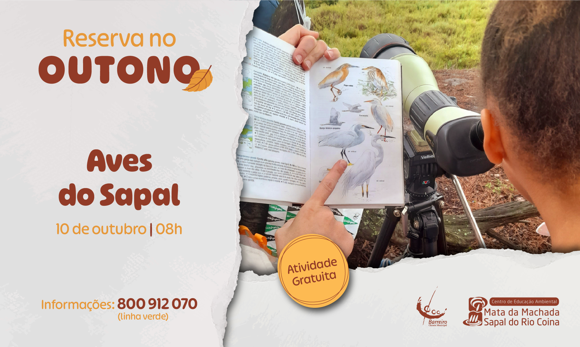 Cartaz da iniciativa Aves do Sapal - 11 outubro