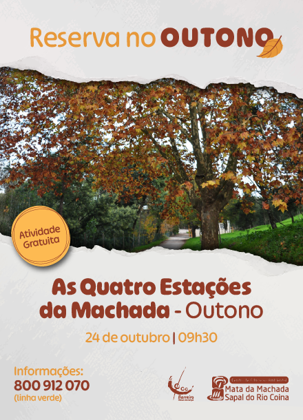 Imagem - As Quatro Estações da Machada