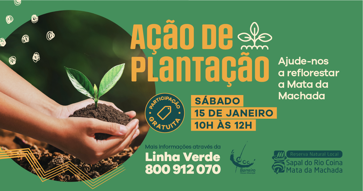 mm_acao_reflorestacao_banner