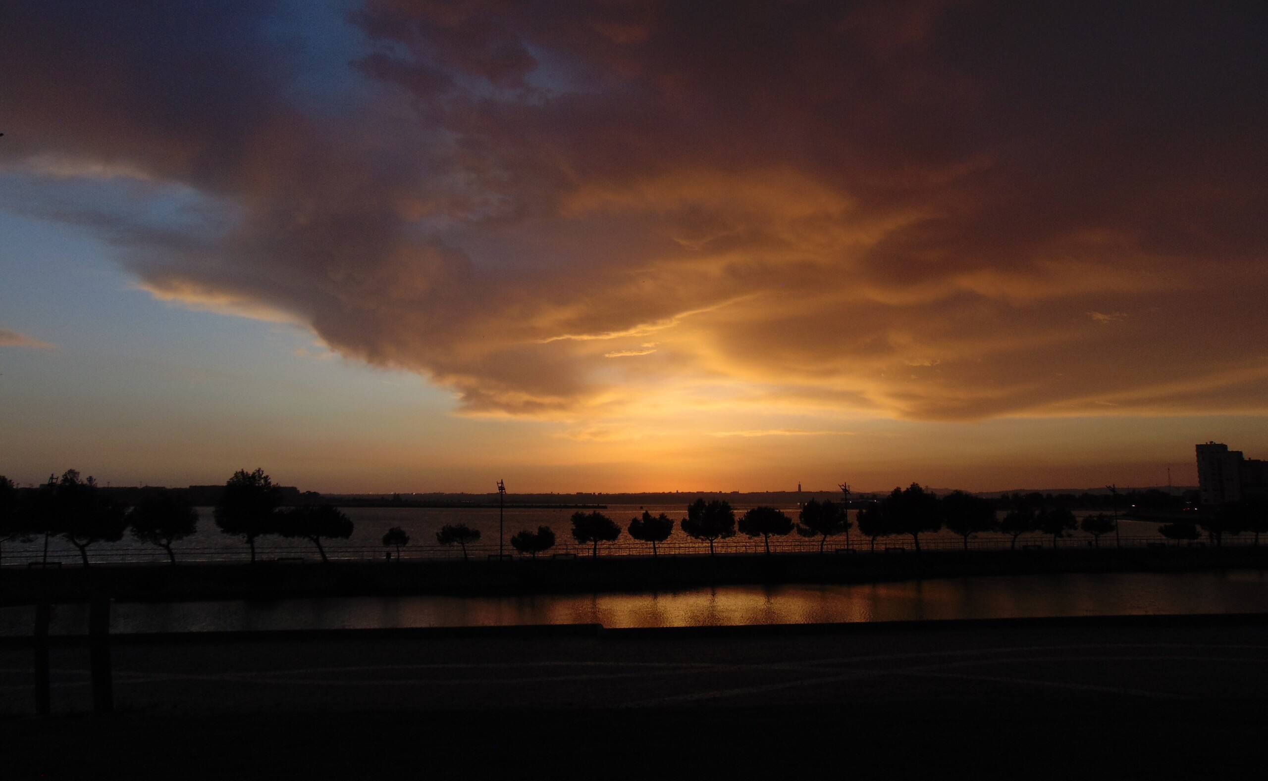 ester_afonso___tema_barreiro_2