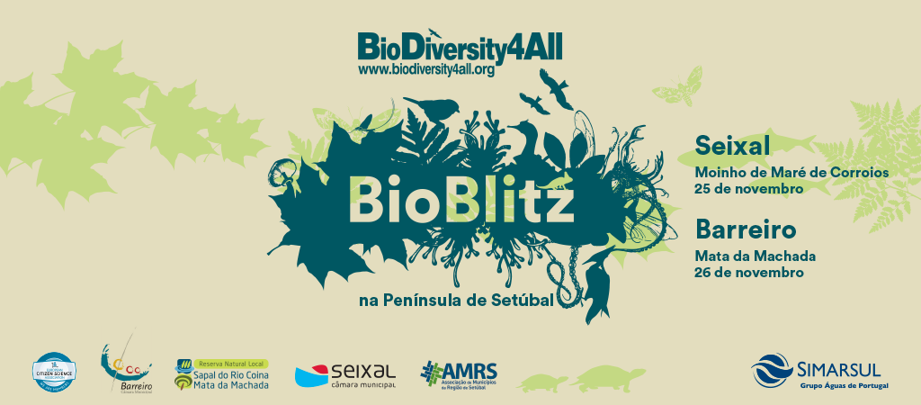 Bioblitz | Centro de Educação Ambiental da Mata da Machada e Sapal do Coina