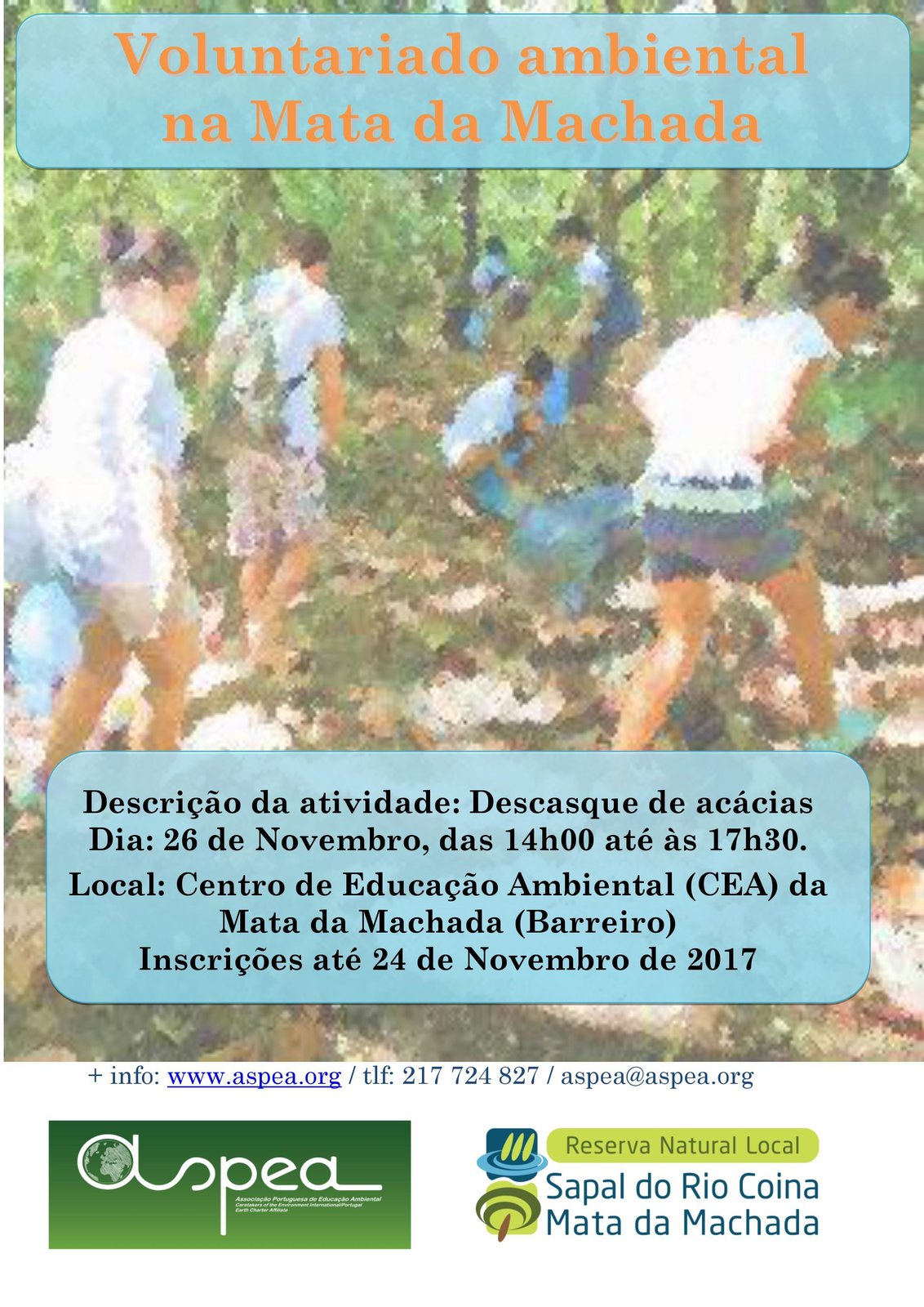 Ação de descasque de acácias | Mata Nacional da Machada