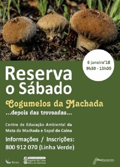 Reserva o Sábado | “Cogumelos da Mata”