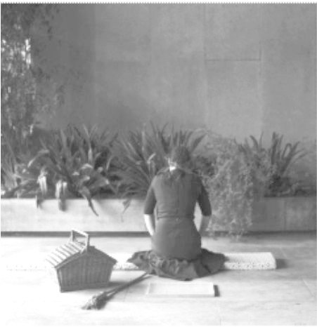 Biblioteca Júnior e Palmo e Meio |  A Galinha da Vizinha – Oficina de Contos e Cante Alent...