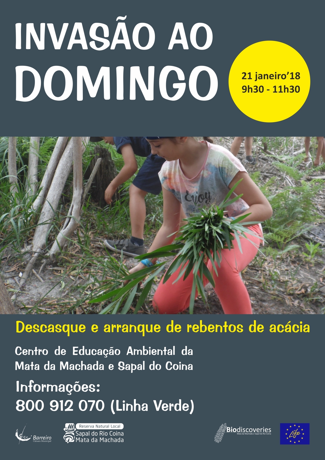 “Invasão ao Domingo” | Descasque e arranque de rebentos de acácias na Mata da Machada