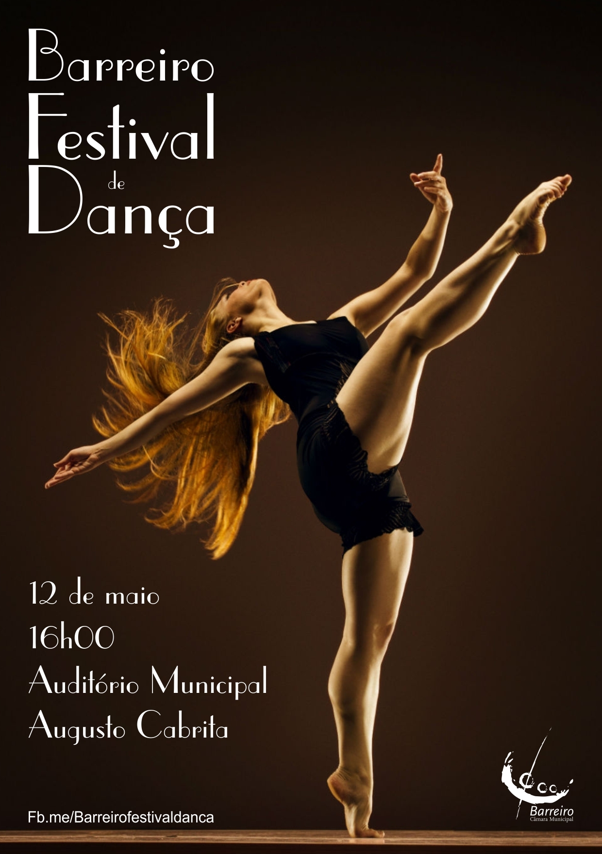 Festival de Dança