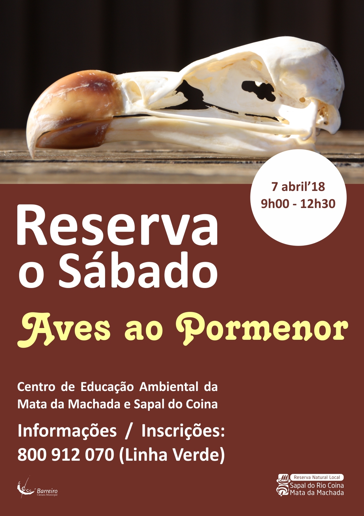 Reserva o Sábado “Aves ao Pormenor”