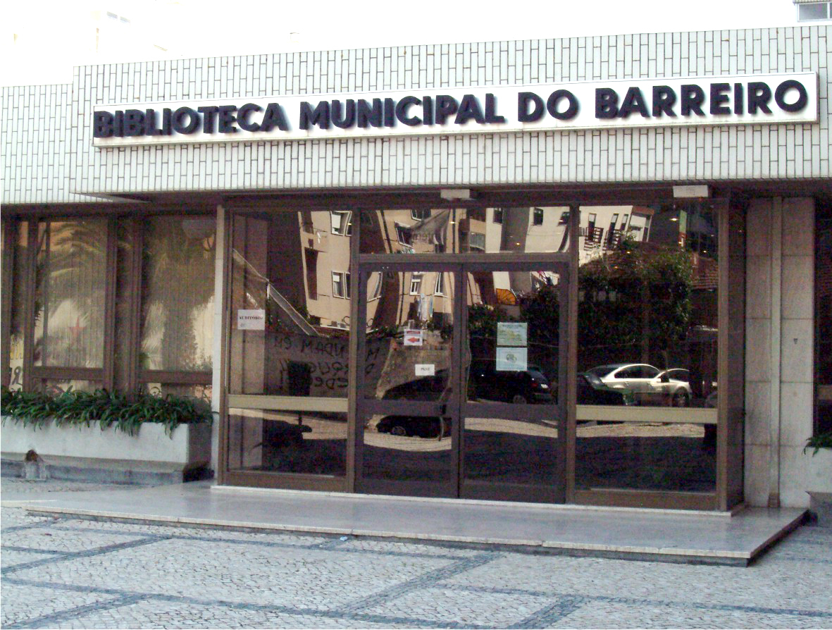 Mixed Martial Arts | Ação de Formação