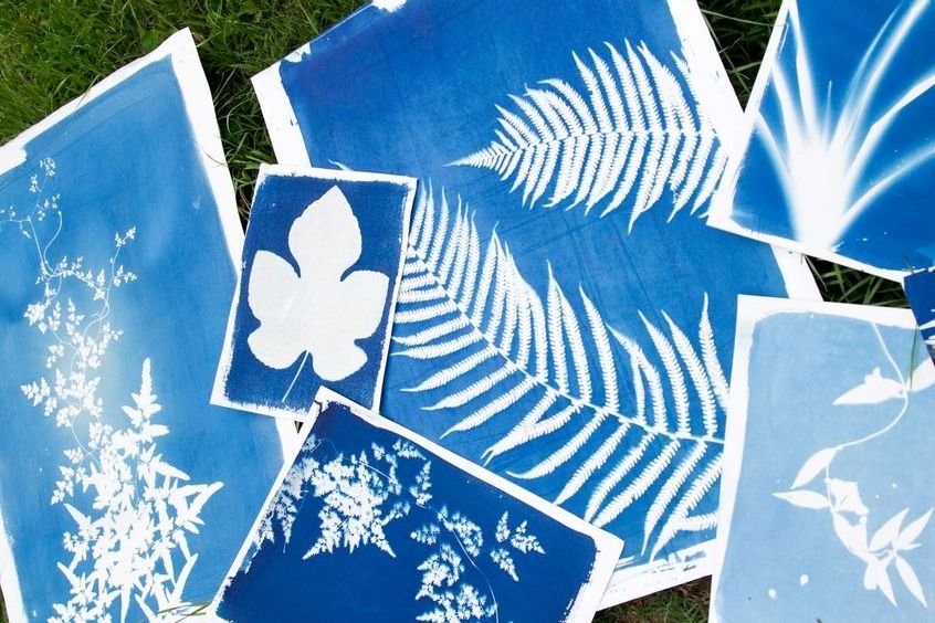 Imprimir com luz solar | Centro de Educação Ambiental da Mata da Machada e Sapal do Coina