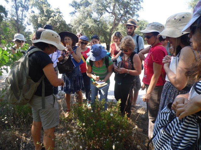 Passeio pelas Plantas Medicinais e Silvestres | Centro de Educação Ambiental