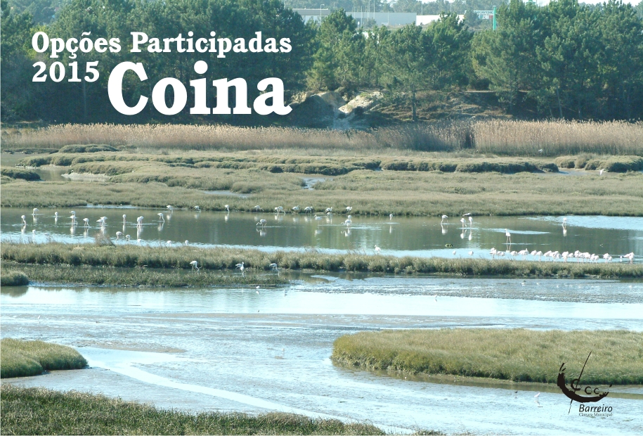 Opções Participadas em Coina