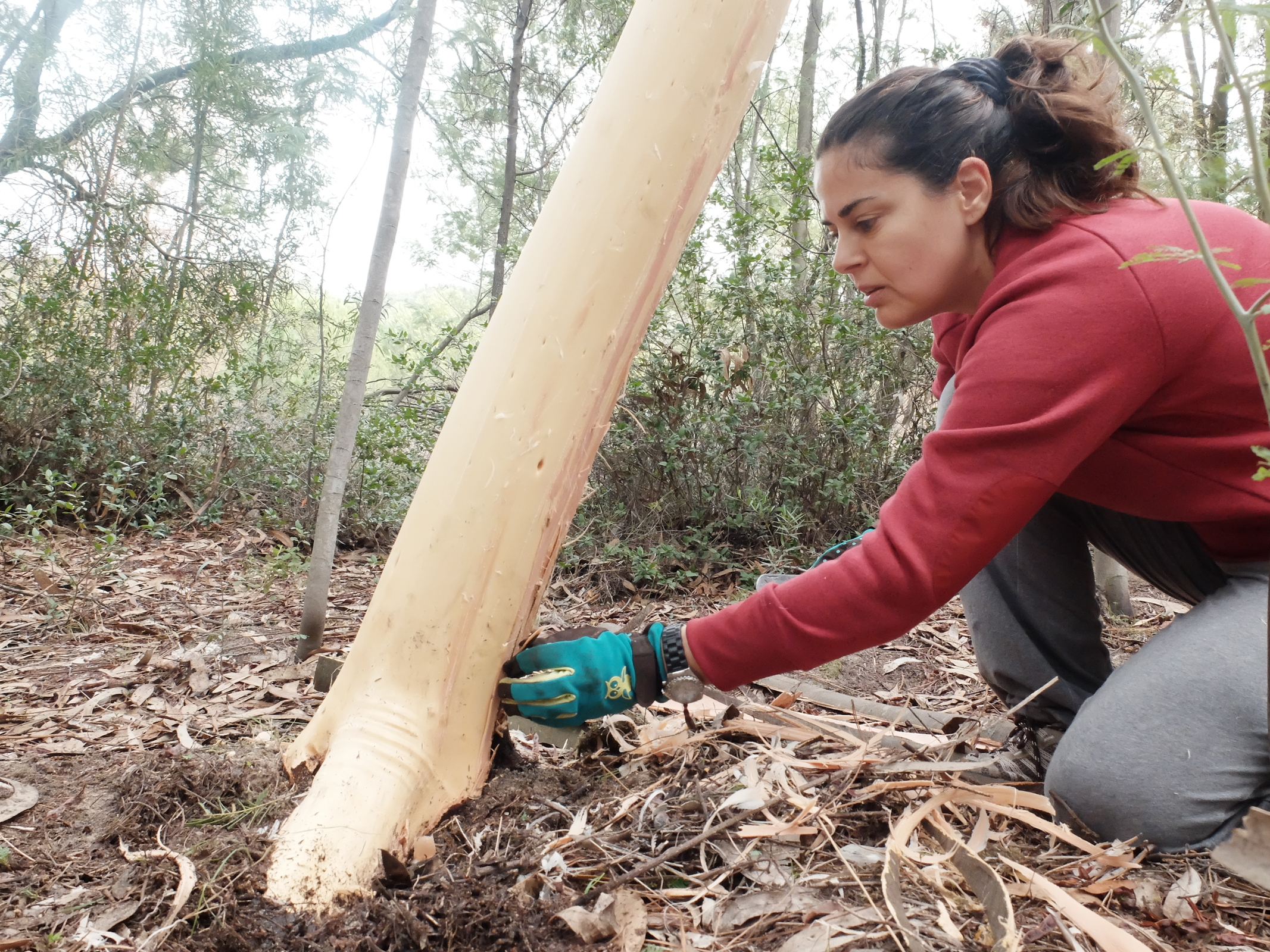 “Invasão ao Domingo” | Centro de Educação Ambiental da Mata da Machada e Sapal do ...