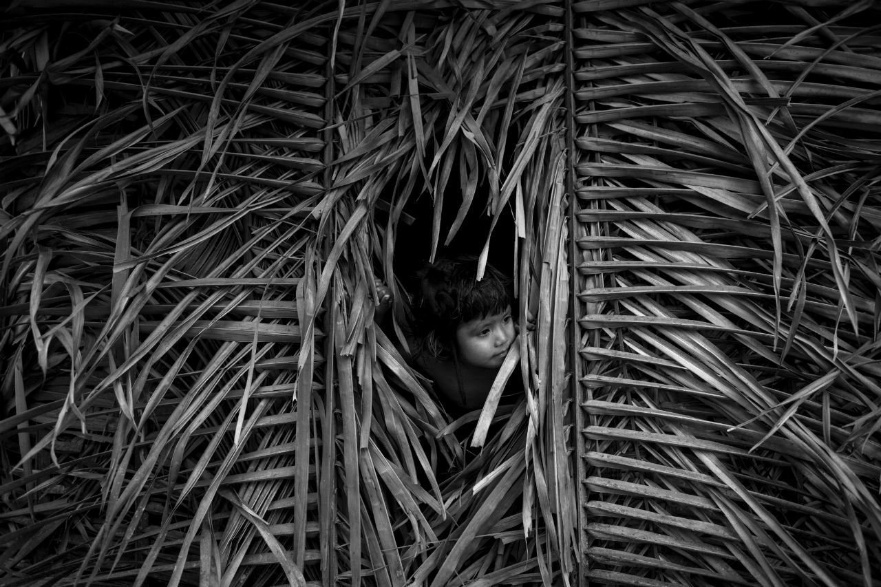 Exposição de Daniel Rodrigues | AWÁ GUAJÁ