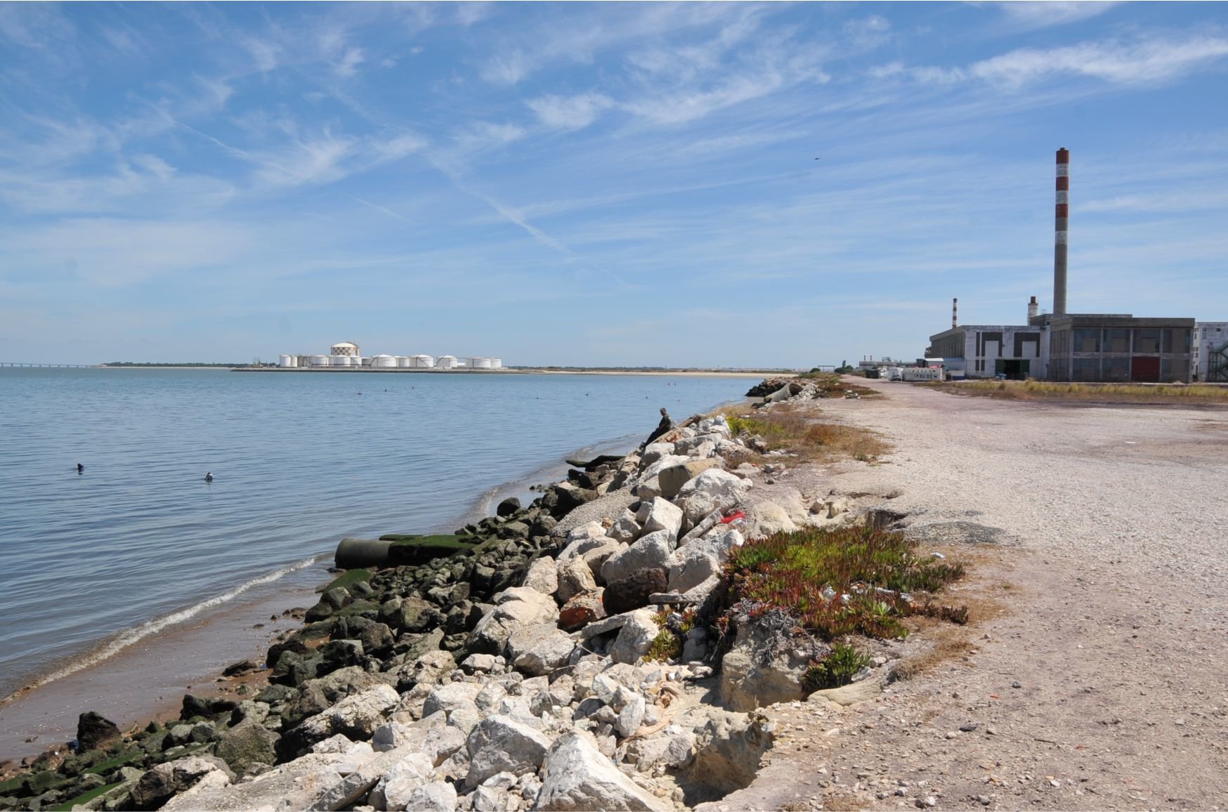 Terminal de Contentores do Barreiro | Sessão Pública de esclarecimento
