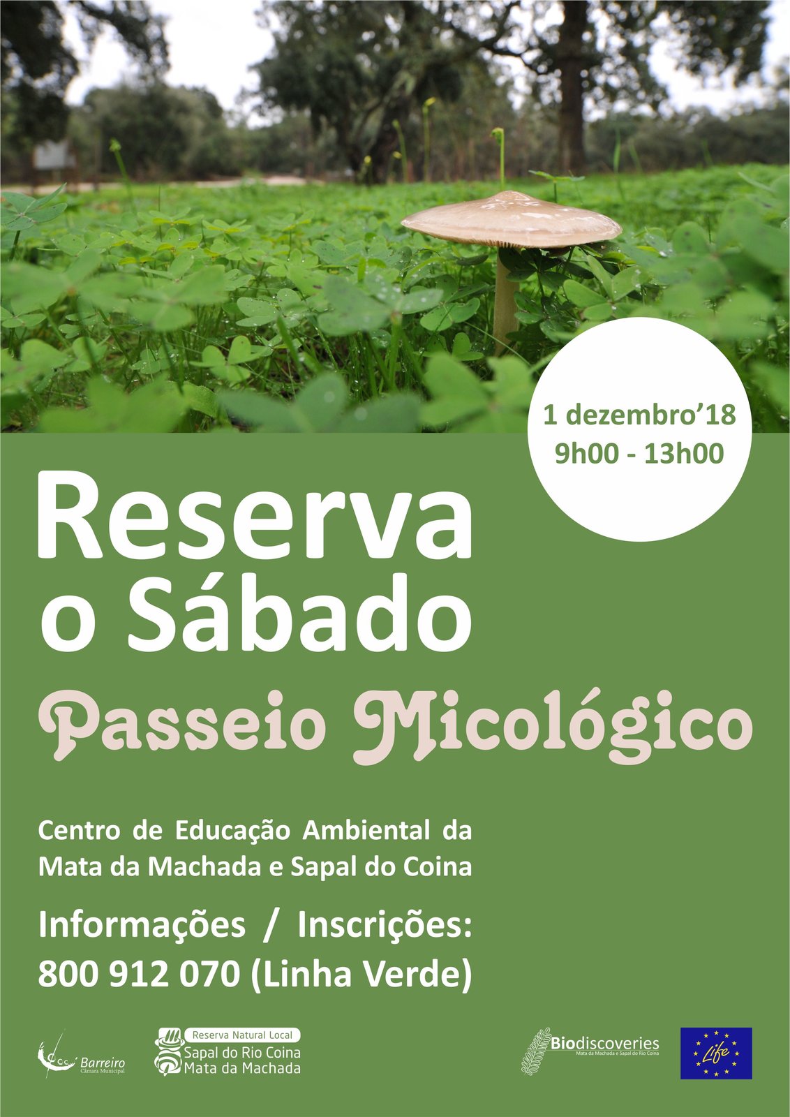 Passeio Micológico | Reserva o Sábado
