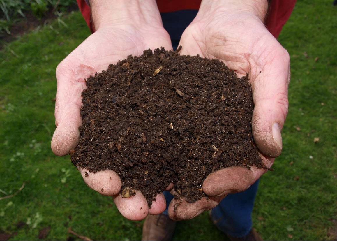 Ação de sensibilização sobre Compostagem doméstica passo a passo