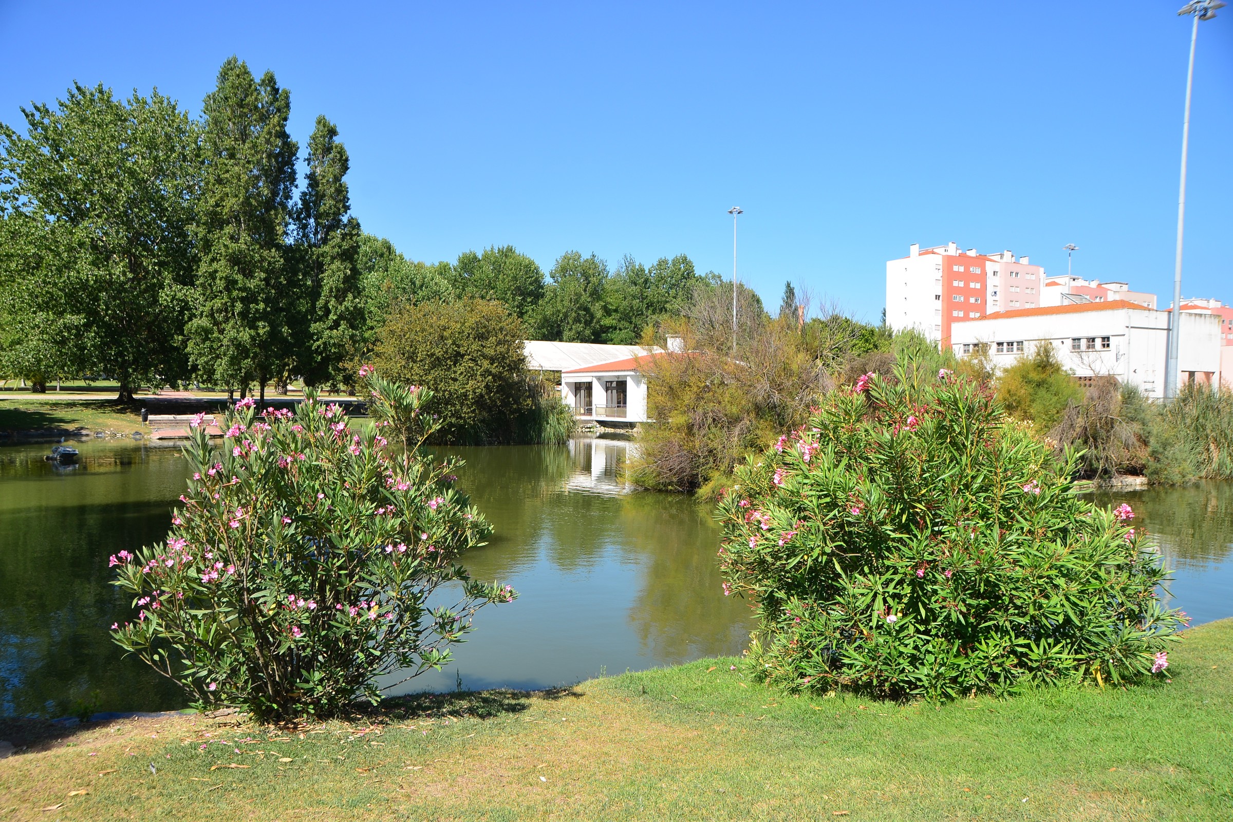 FestiMexe – Festa de Encerramento do programa de Ginástica sénior