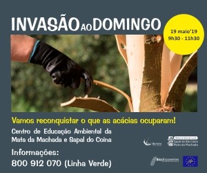 Invasão ao Domingo