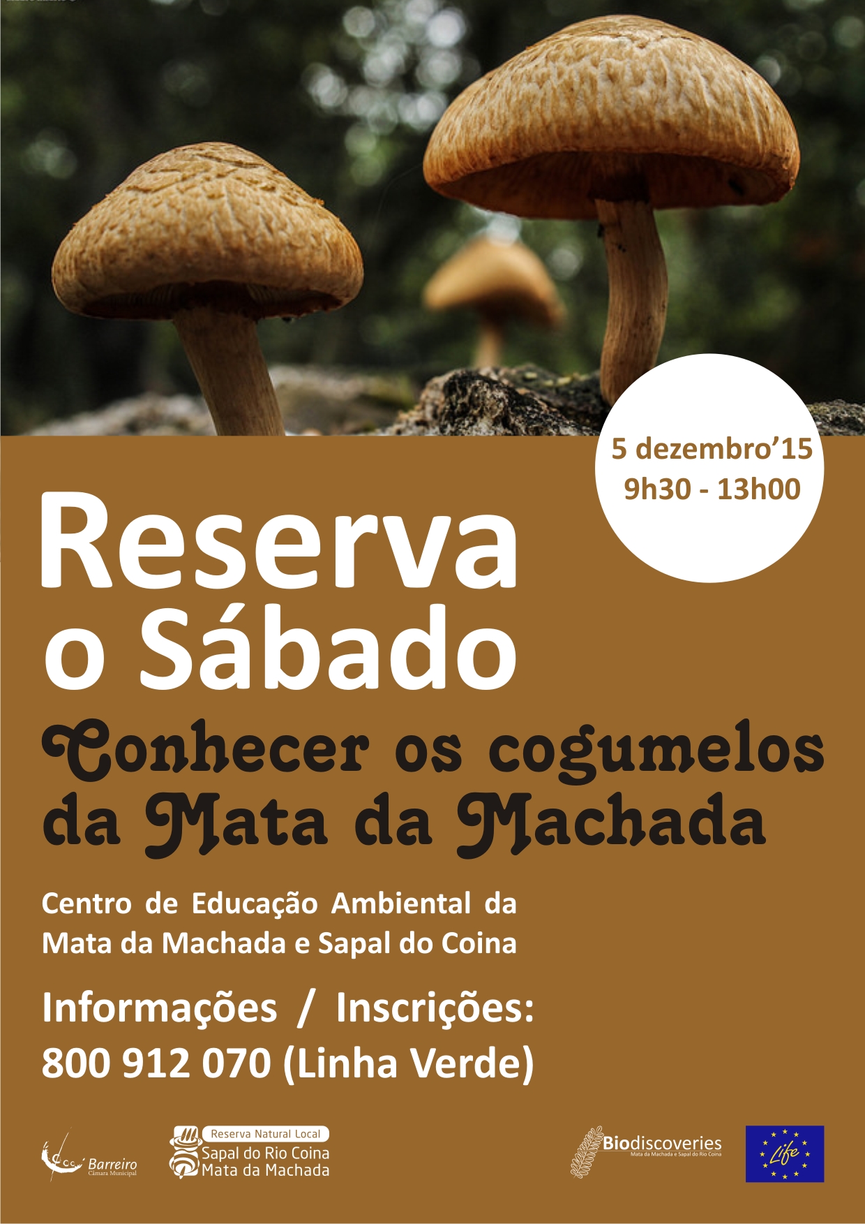 Reserva o Sábado | “Conhecer os cogumelos da Mata da Machada”