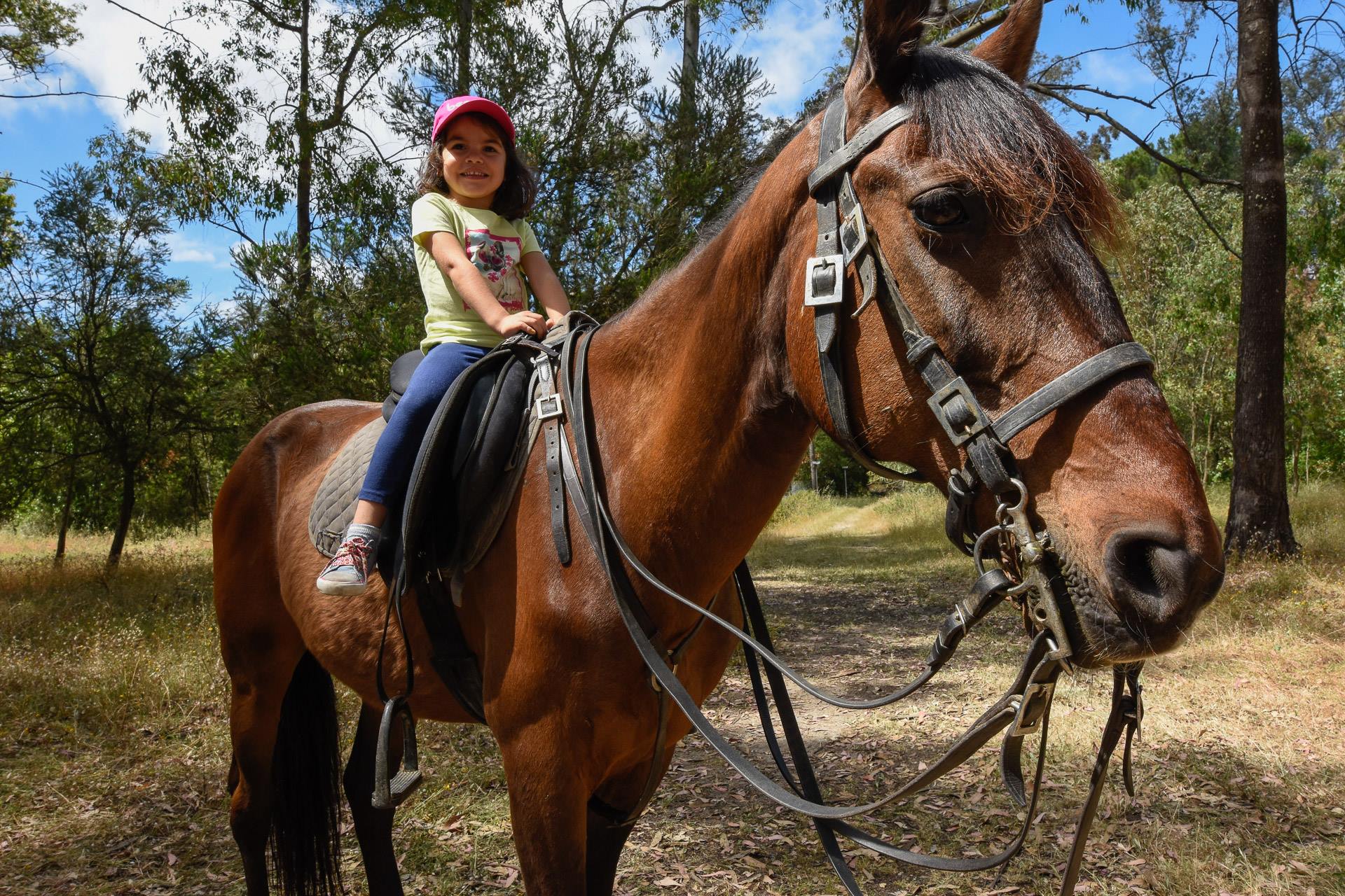 “Machada em família” com atividades gratuitas e ao ar livre