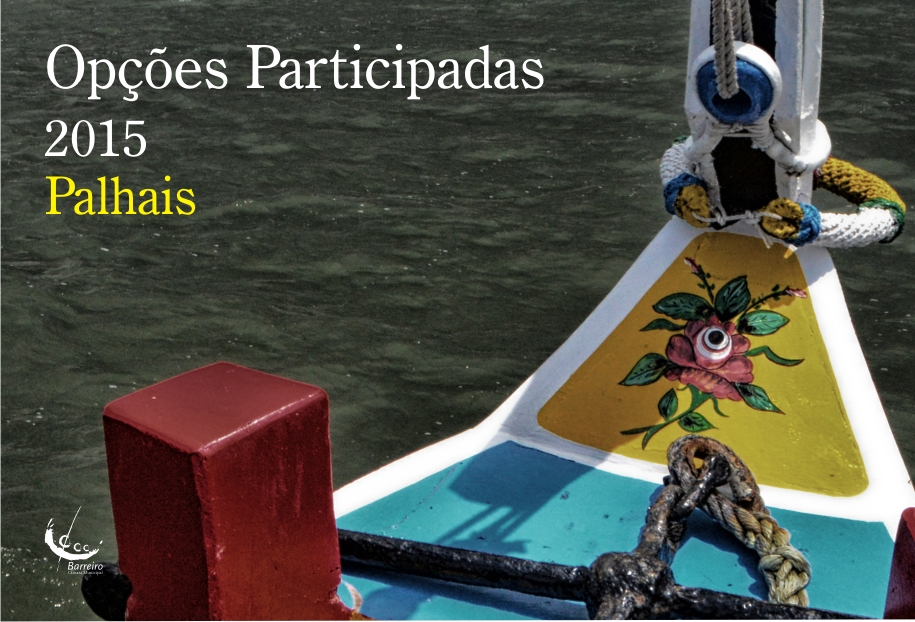 Opções Participadas com a população de Palhais