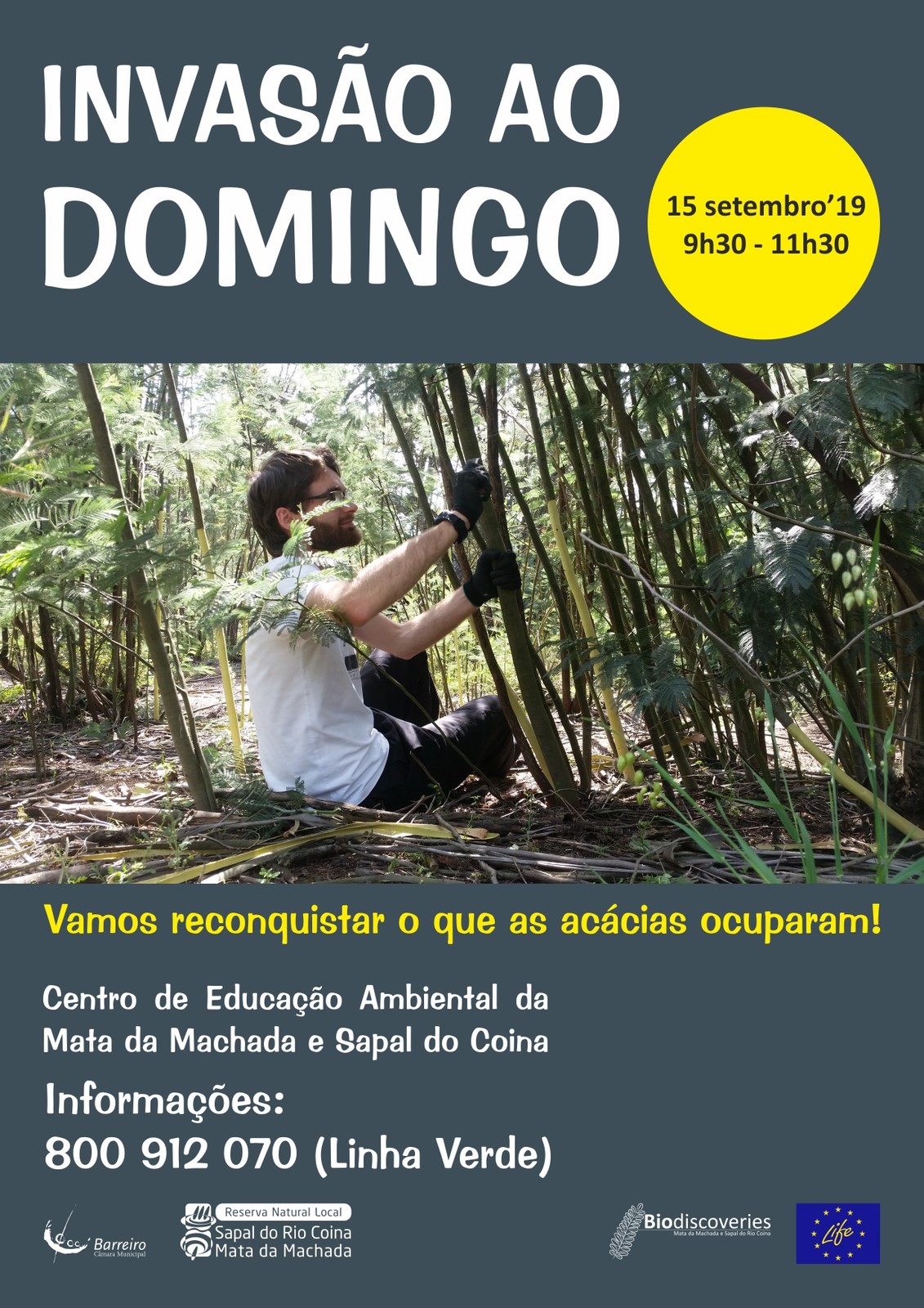 “Invasão ao Domingo” | Ação para controlo das acácias