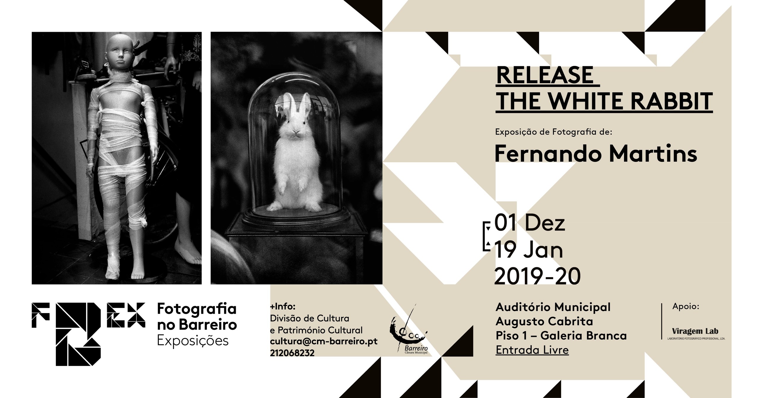 Release the White Rabbit  | Exposição de fotografia de Fernando Martins