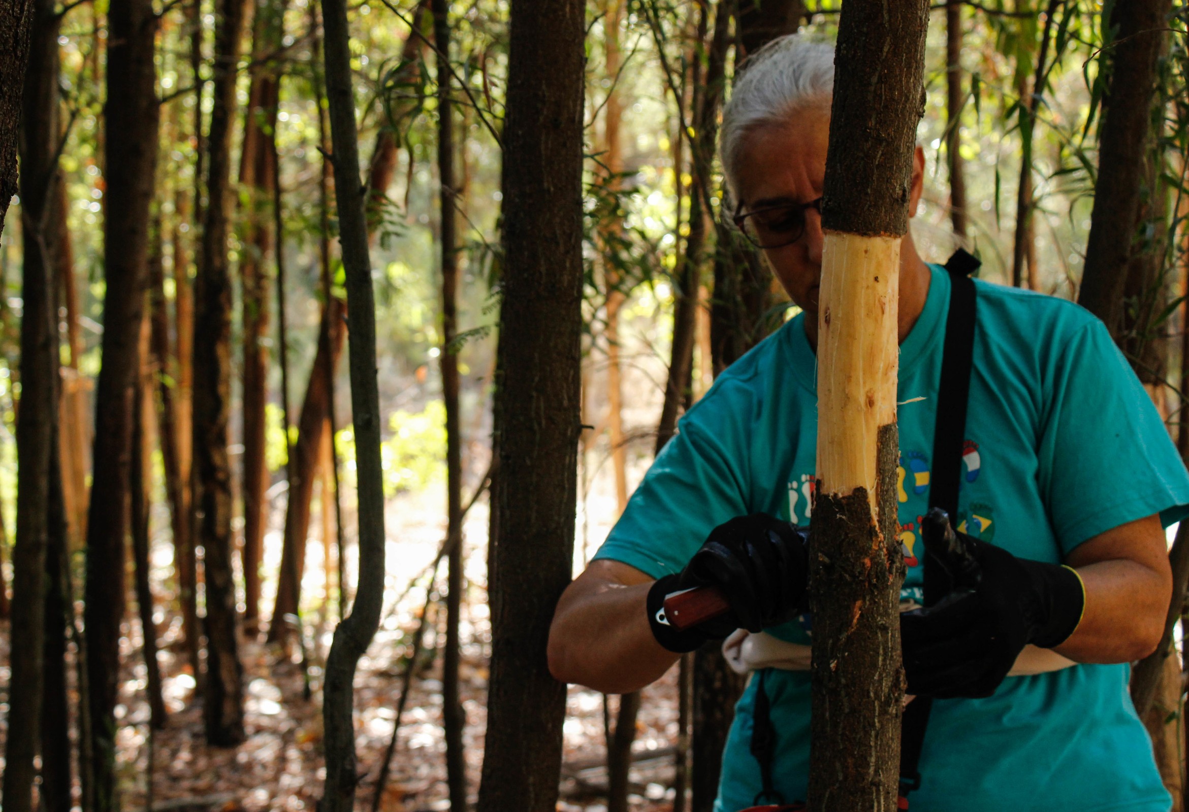 CANCELADO | Invasão ao Domingo