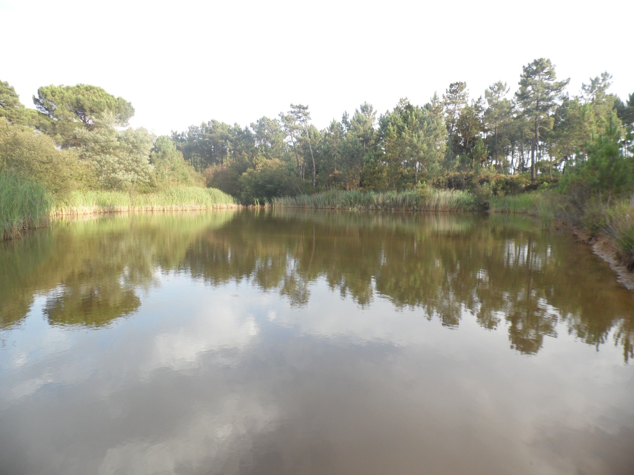 CANCELADO | Reserva o Sábado – O Lago da Reserva