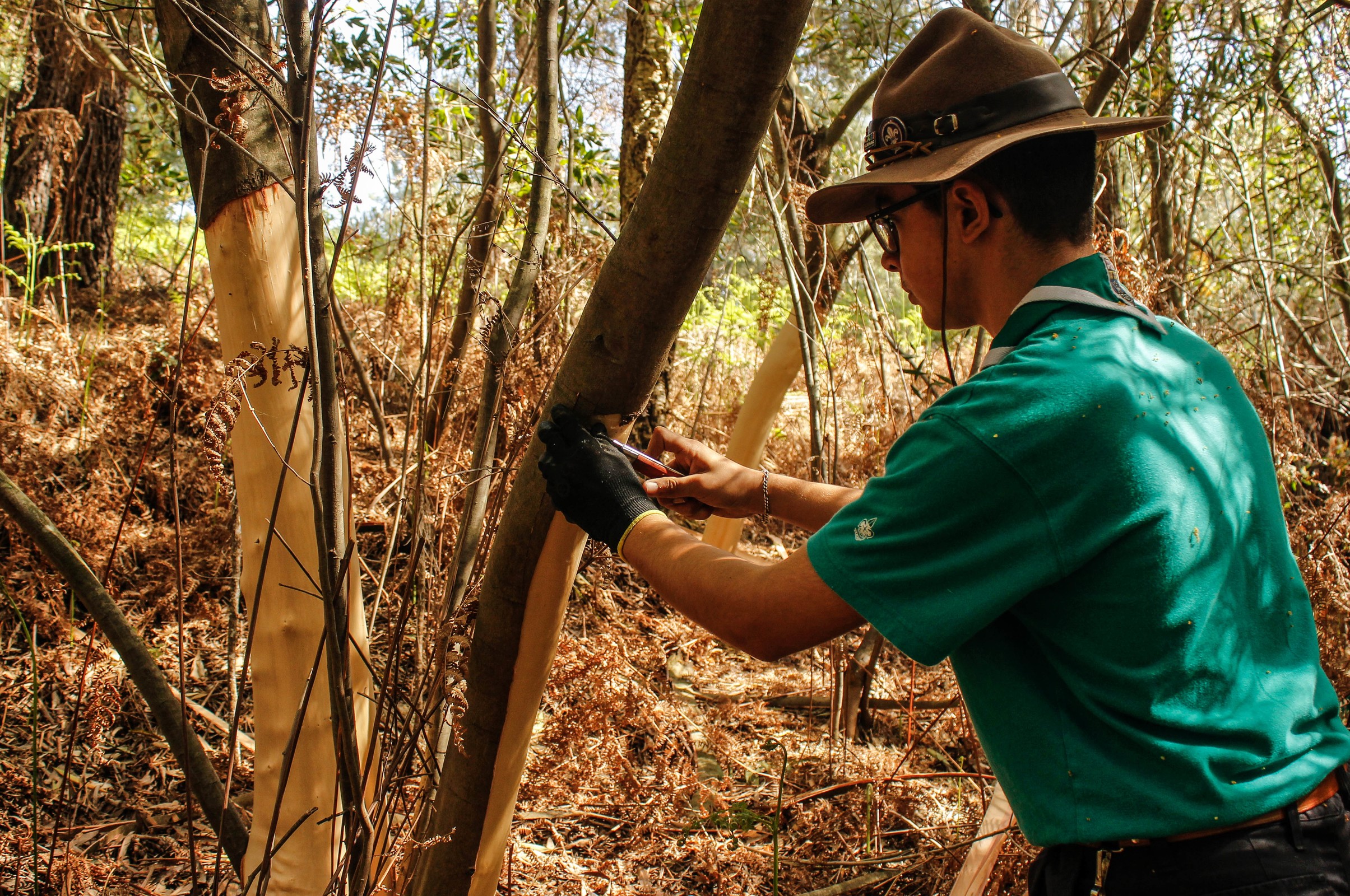CANCELADA| Invasão ao Domingo
