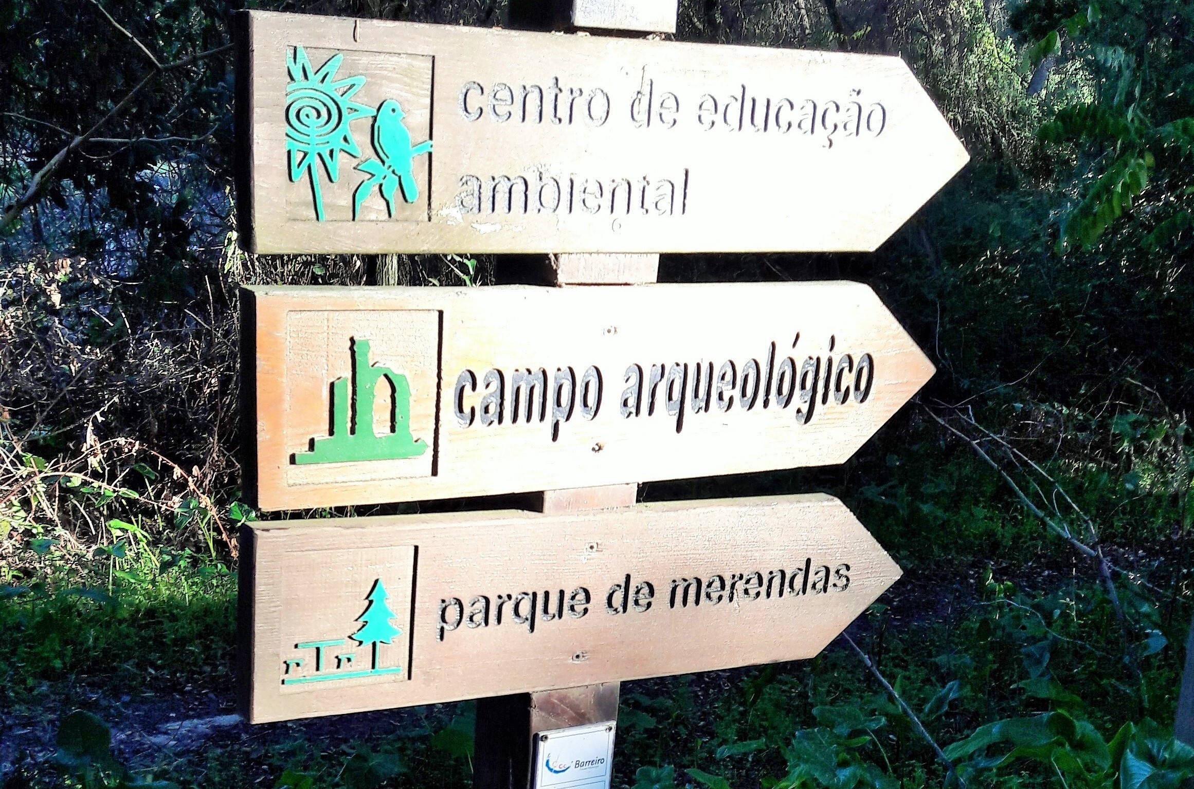 Workshop “O meu Ecossistema” | Centro de Educação Ambiental