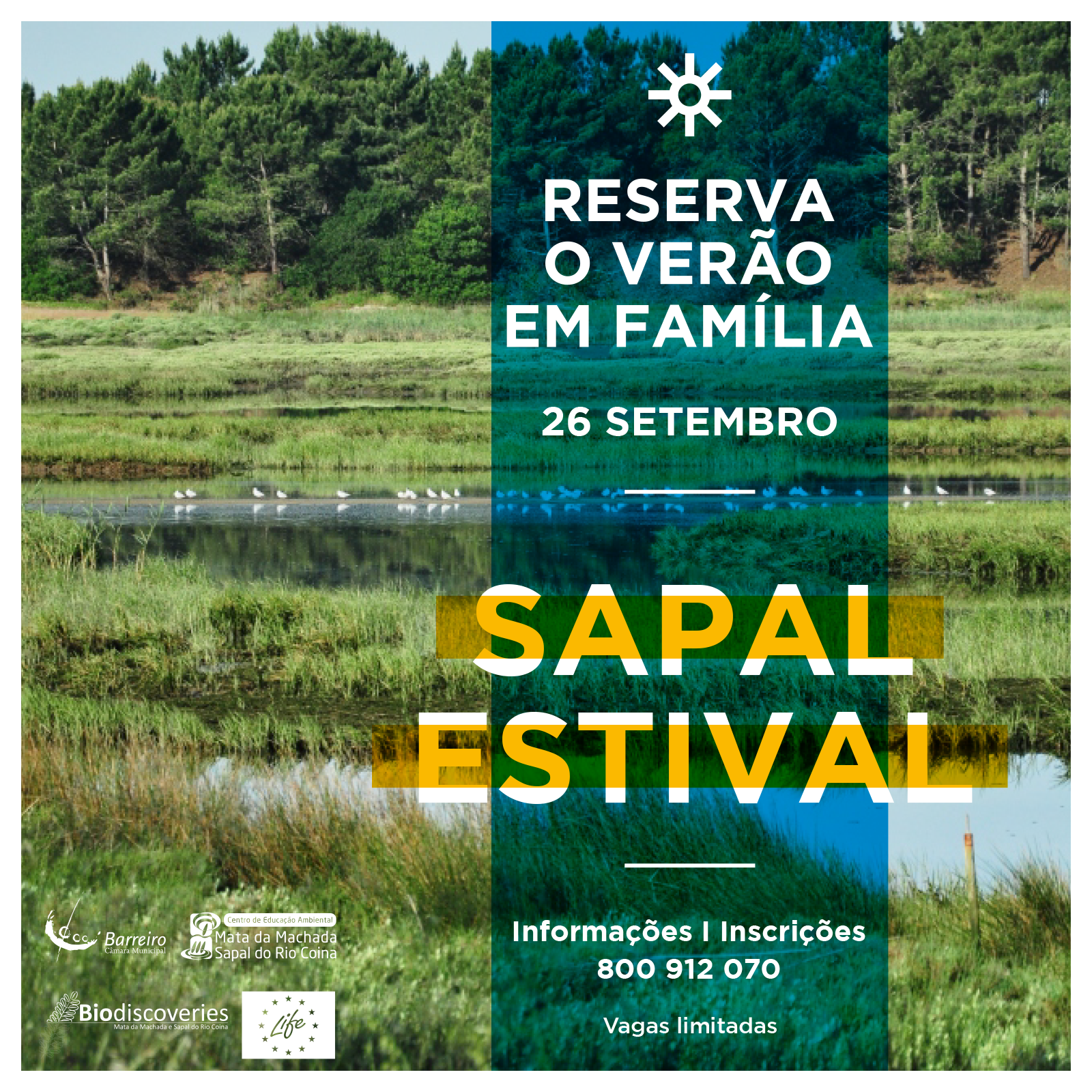 Sapal Estival