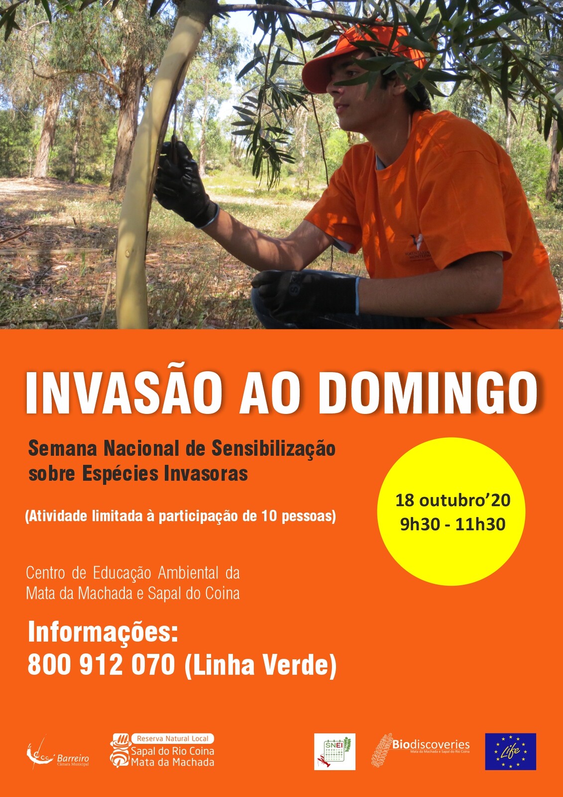 Invasão ao Domingo