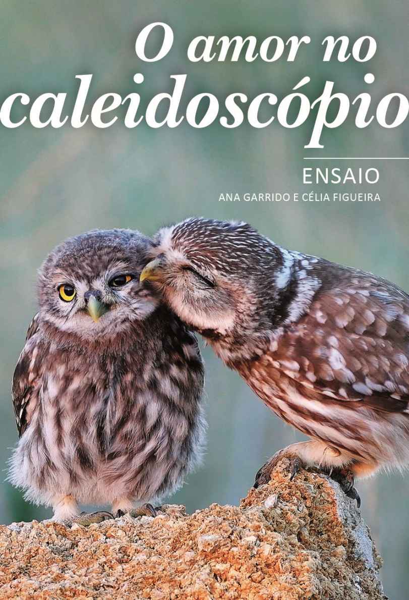 CANCELADO | Apresentação de livro “O amor no caleidoscópio”