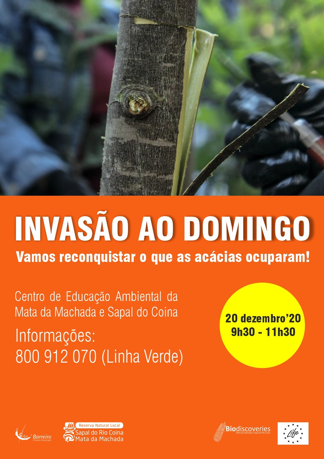 Invasão ao Domingo | 20 dezembro