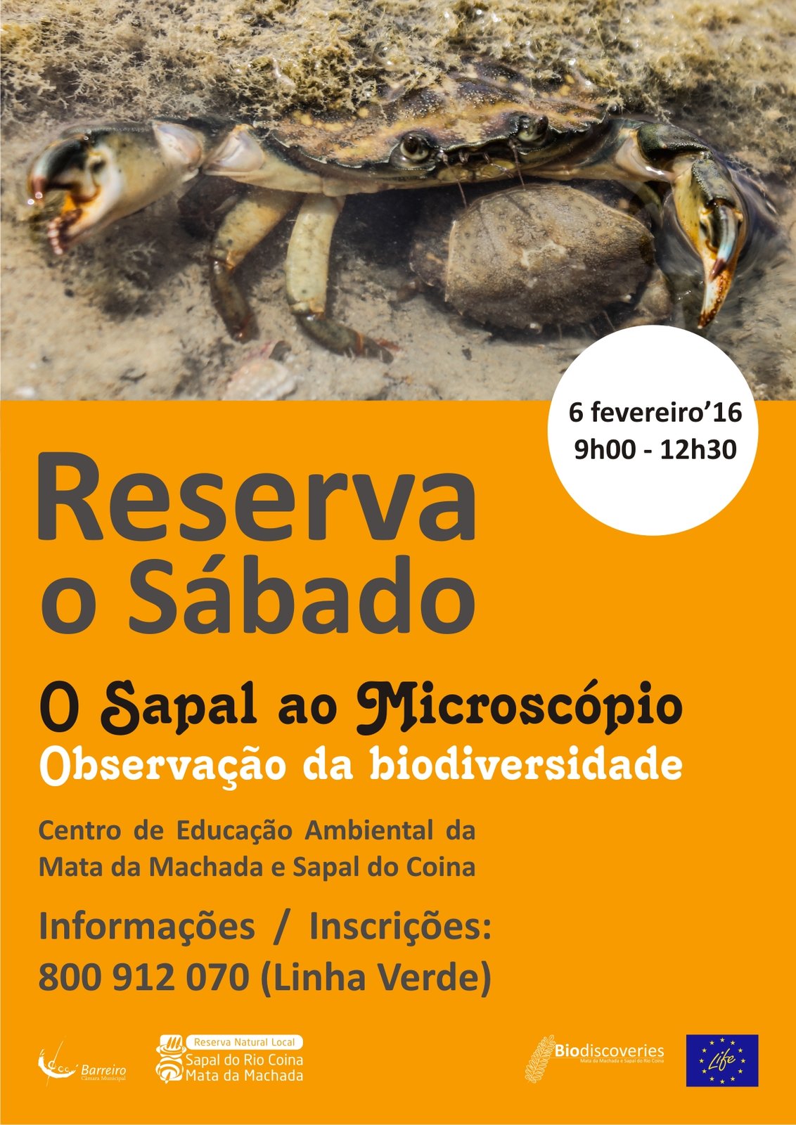 “Reserva o Sábado” vê “O Sapal ao Microscópio – Observação da Biodiversidade” | 9h00