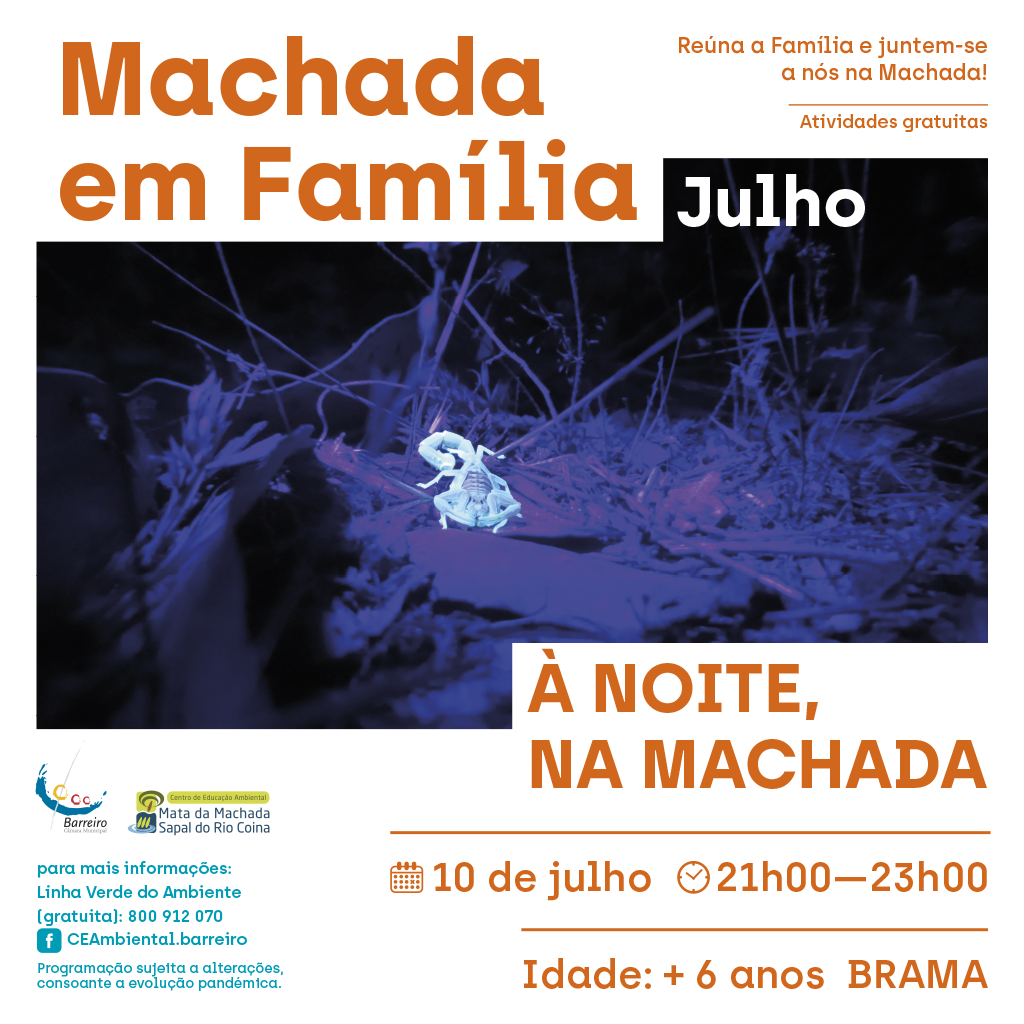 À Noite, Na Machada