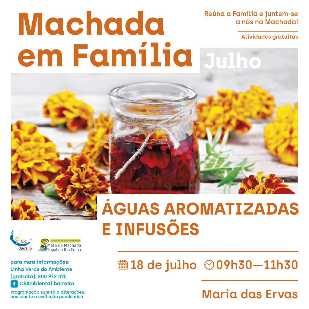 Águas Aromatizadas e Infusões