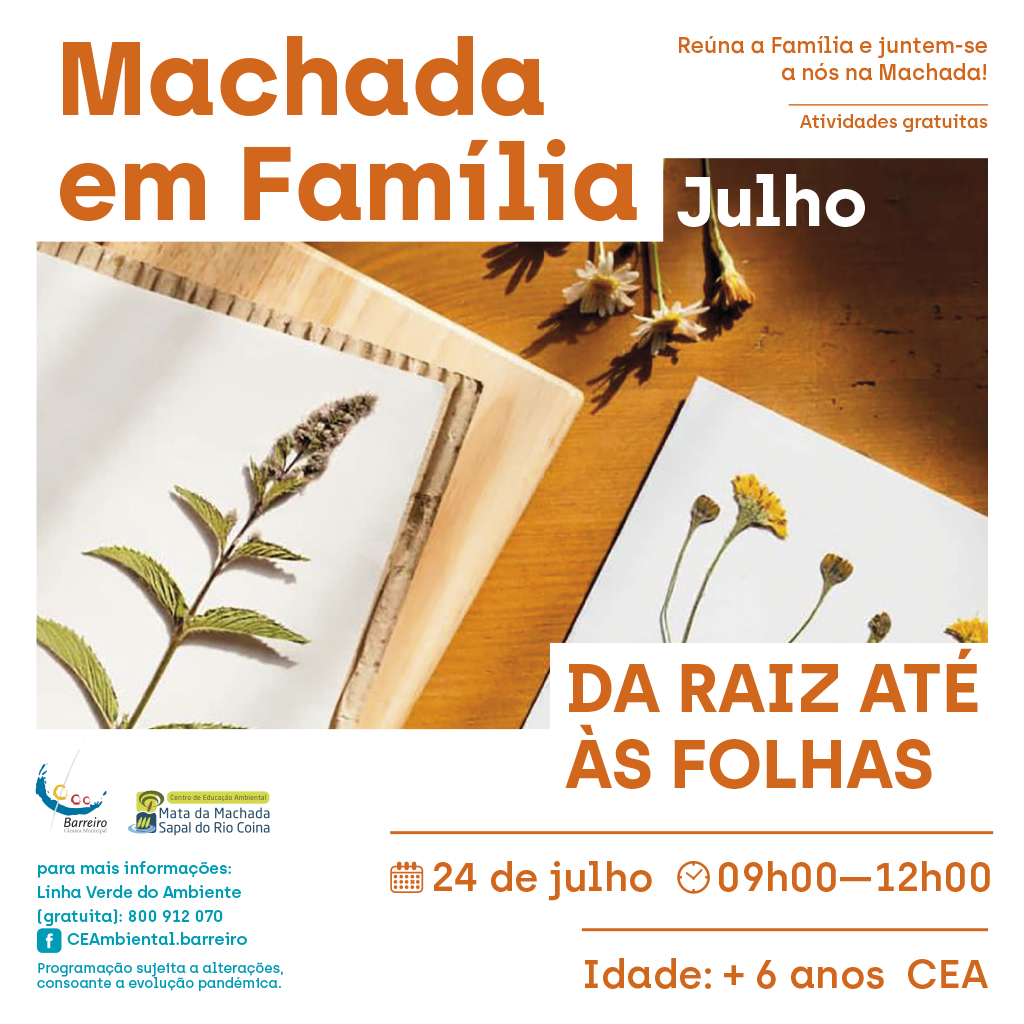 Da Raiz Até às Folhas