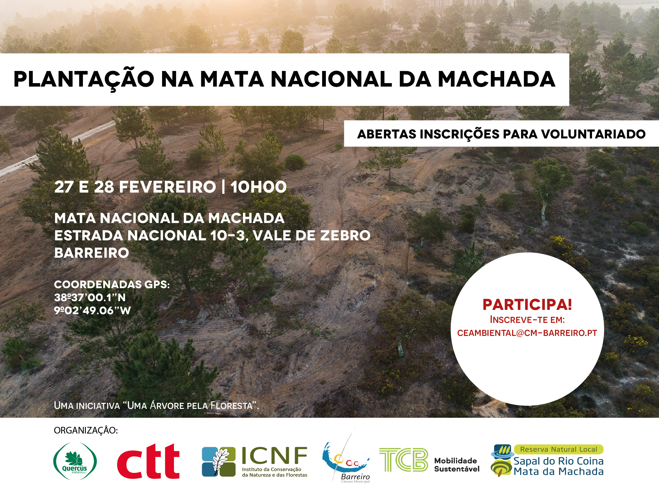 Mata da Machada vai ter 6.700 novas árvores | Ação de reflorestação com inscrições abertas...