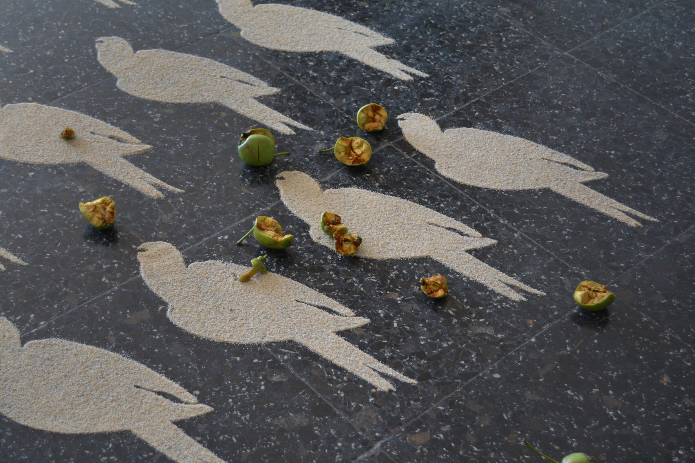 Visita guiada à exposição de Tiago Rocha Costa