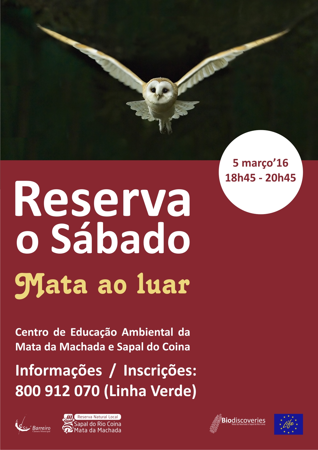 “Reserva o Sábado”: “Mata ao Luar” a 5 de março | “O Sapal ao Microscópio – Observ...