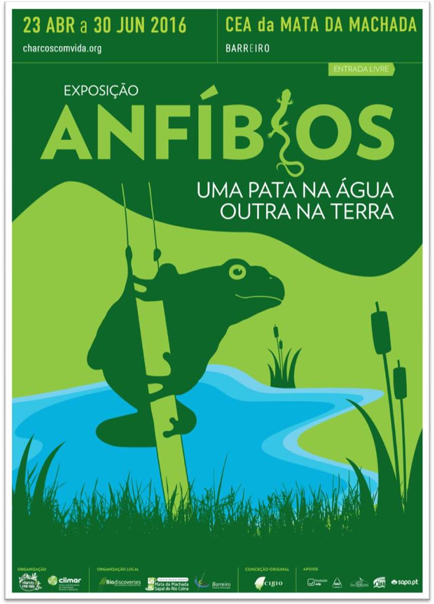 “Anfíbios: Uma pata na água, outra na terra” | Exposição | Inauguração: 14h00
