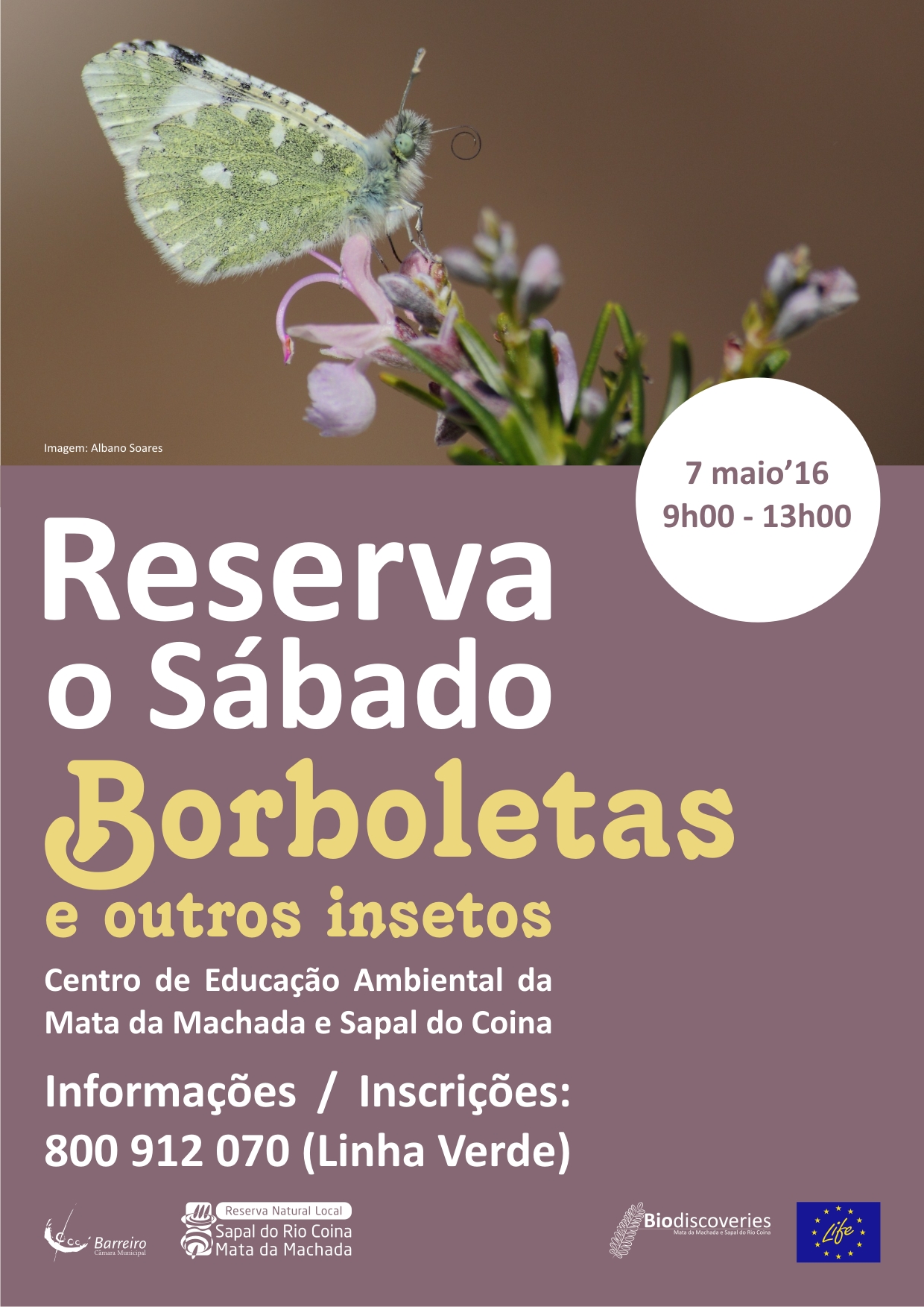 “Reserva o Sábado” – “Borboletas e outros insetos” | 9h00/13h00