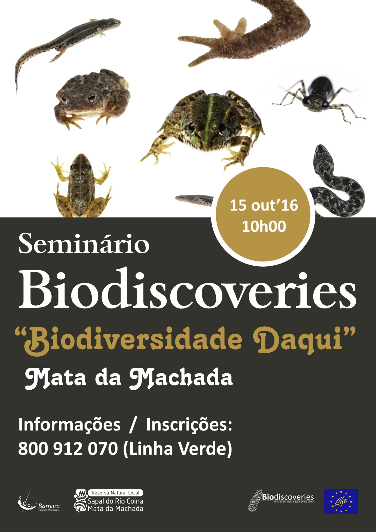 Seminário “Biodiversidade Daqui” na Mata da Machada | Informações / Inscrições: 800 912 ...