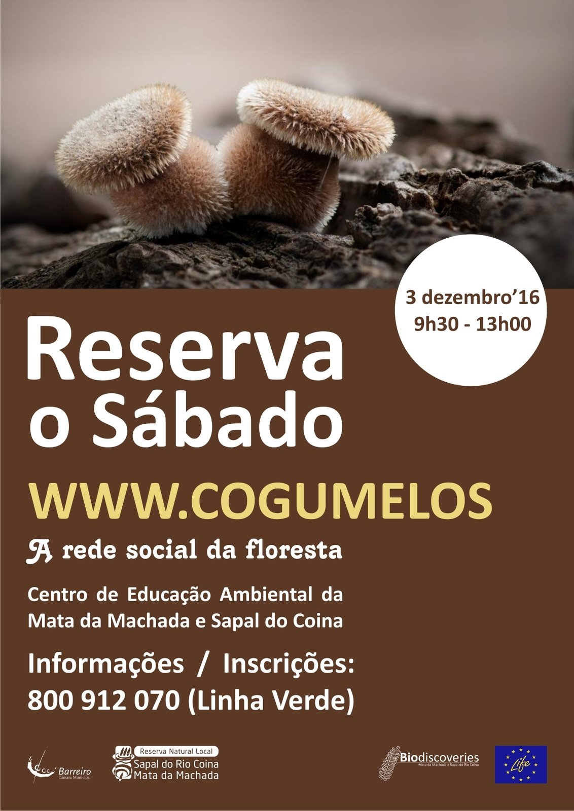 www.cogumelos | No Centro de Educação Ambiental da Mata da Machada e Sapal do Coina | “Re...