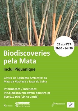 Passeio pela Mata da Machada | Projecto Biodiscoveries
