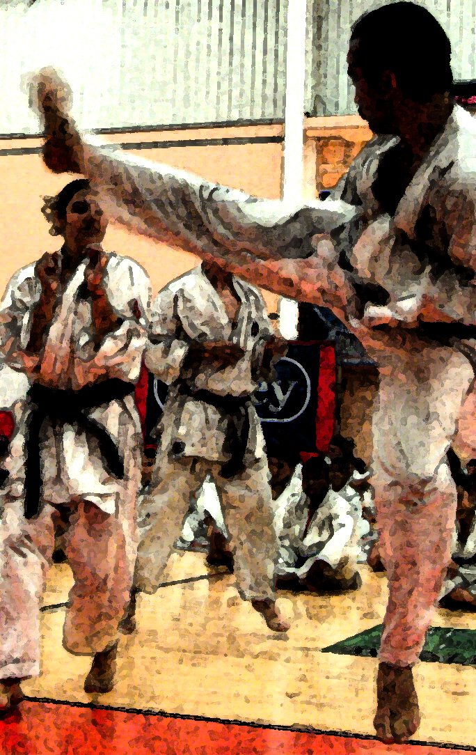 Karaté | Estágio de Verão da LNKP