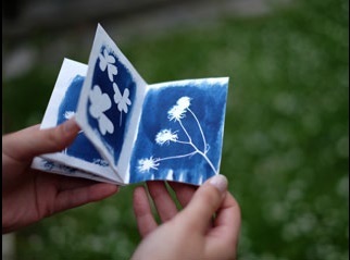 Jardim Azul | “Reserva o Verão em Família” | Agenda de Atividades